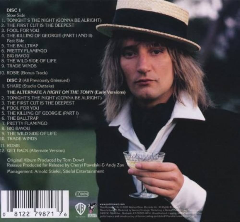 Night On The Town: STEWART,ROD: Amazon.ca: Music